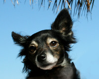 buster 104.jpg