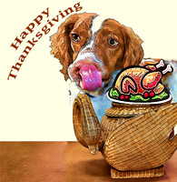 Happy Thanksgiving Sonny small