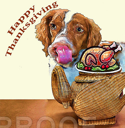 Happy Thanksgiving Sonny small
