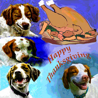 happy thanksgiving 2017 w britts