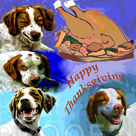 happy thanksgiving 2017 w britts