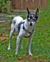 maggie 2014_1474