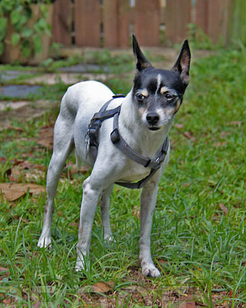 maggie 2014_1474