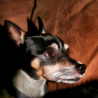 maggie bz 2014_1468