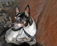 maggie 2014_1463