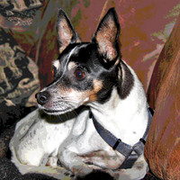 maggie pstr 2014_1463