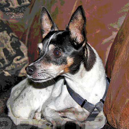 maggie pstr 2014_1463