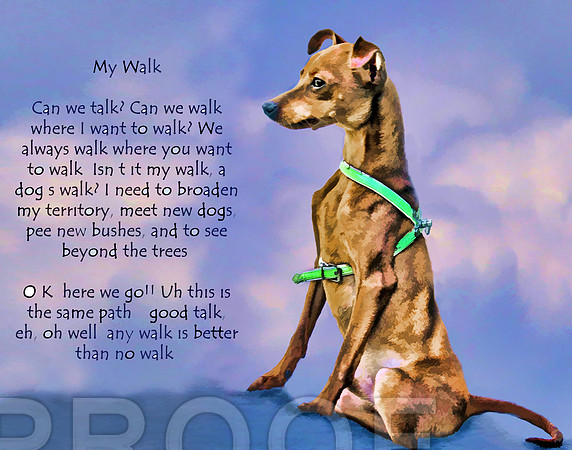 my walk poster 11 x 14