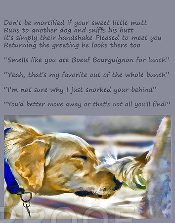 Dog sniffing rear end