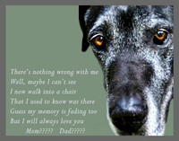 older dog poster