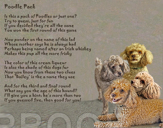 poodle pack