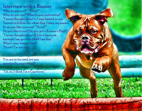runner's high poster