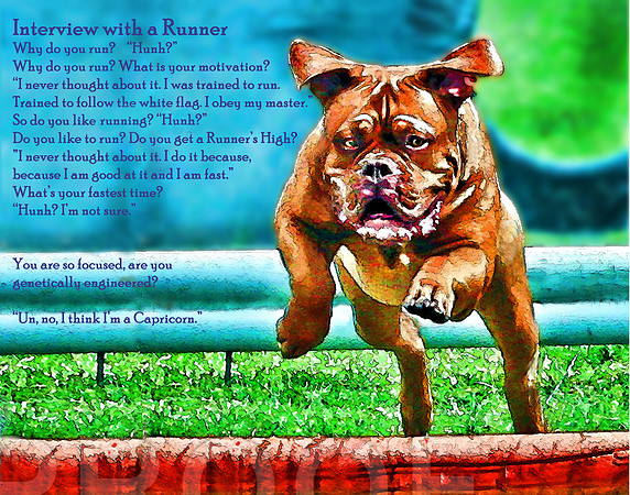 runner's high poster