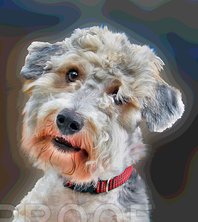 toby 185
