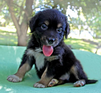 small 168_edited-1
