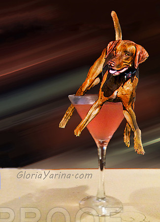 TGIF Tipsy