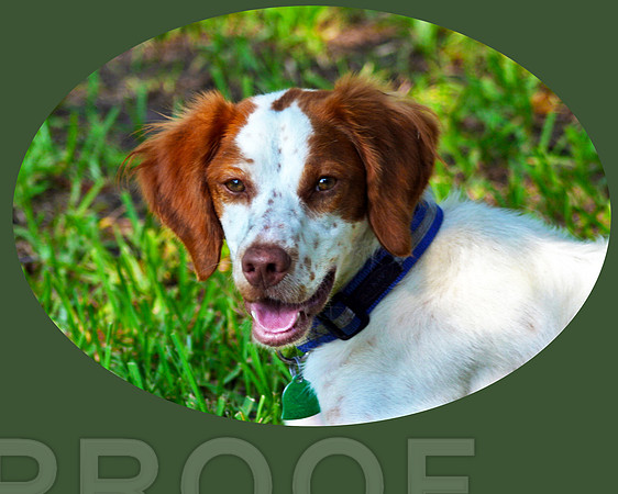 Tootsie  027