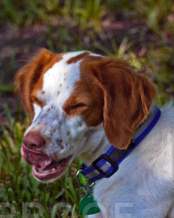 Lip Lickin' Good