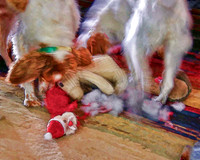 Christmas past dismantle a toy 2012-12