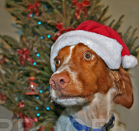 Thoughtful christmas 35