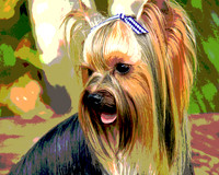Stylized Yorkie 071