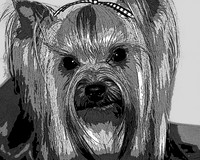 Black and White 167