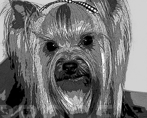 Black and White 167