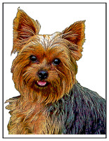 A stylized Yorkie