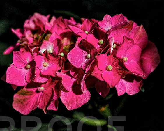reddith flower db 110
