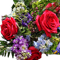 flowers 8237