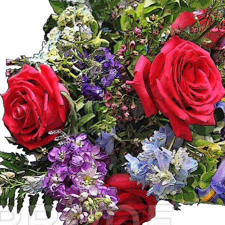 flowers 8237