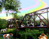 Rainbow bridge w words
