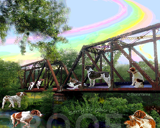 Rainbow bridge w words