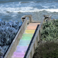 bridge