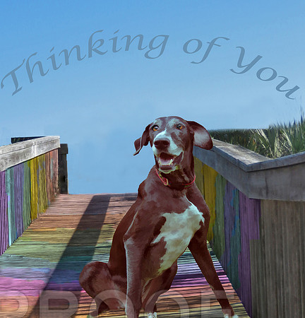 dyzul thinking of you