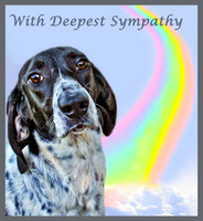 R B sympathy