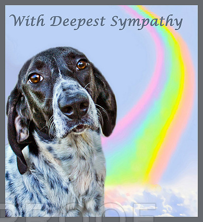 R B sympathy