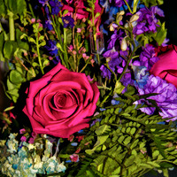 flowers 8245