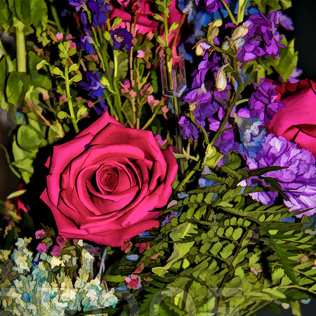 flowers 8245