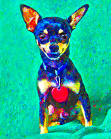 JK 43 colorful