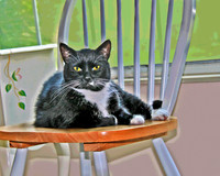 Chaired