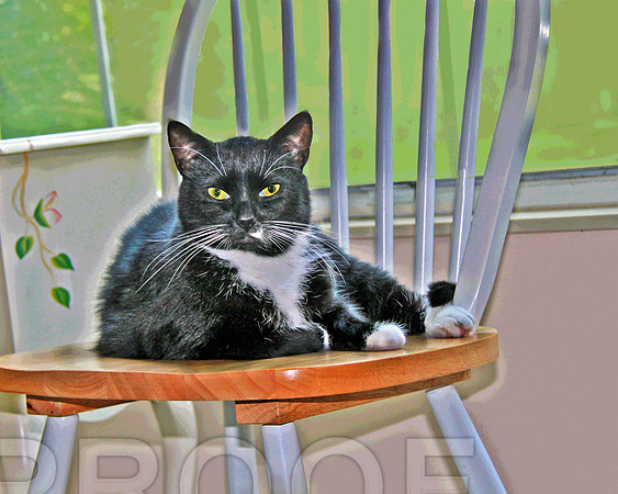 Chaired