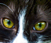 Eyes On You