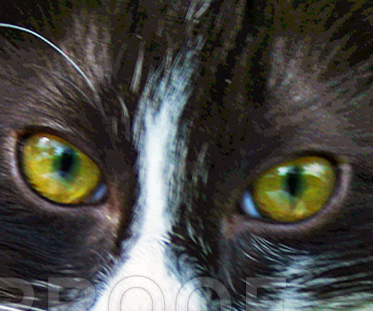 Eyes On You