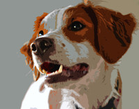 Portrait CO 026