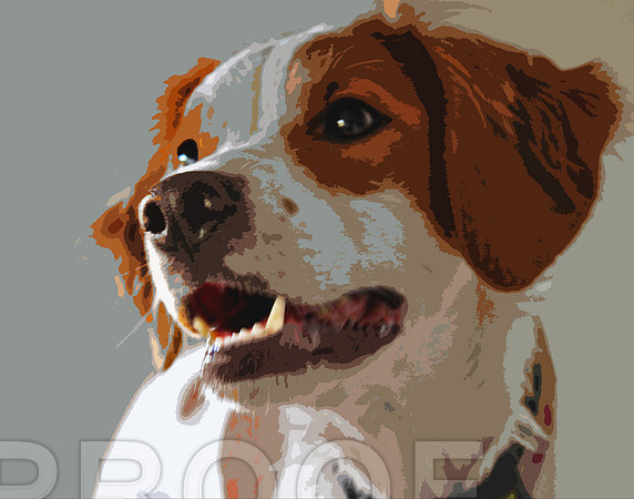 Portrait CO 026