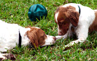 Face to Face