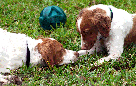 Face to Face
