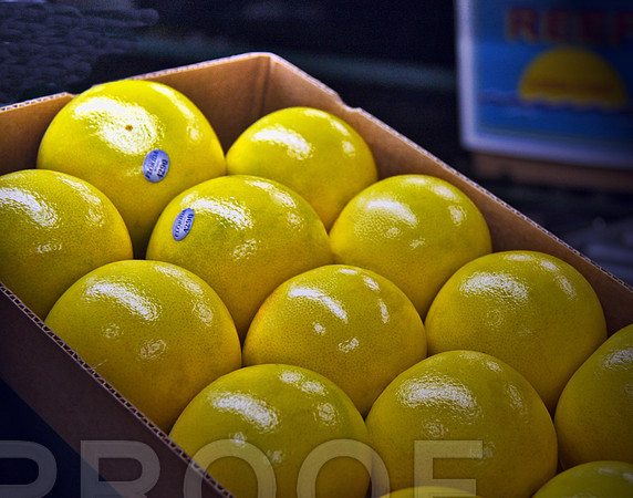 Grapefruit Carton 024