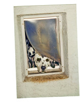Lookin-out Doggie Door